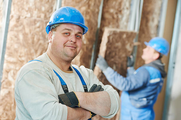 Best Cellulose Insulation  in Lander, WY