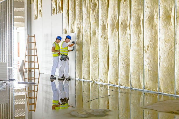 Best Professional Insulation Contractor  in Lander, WY